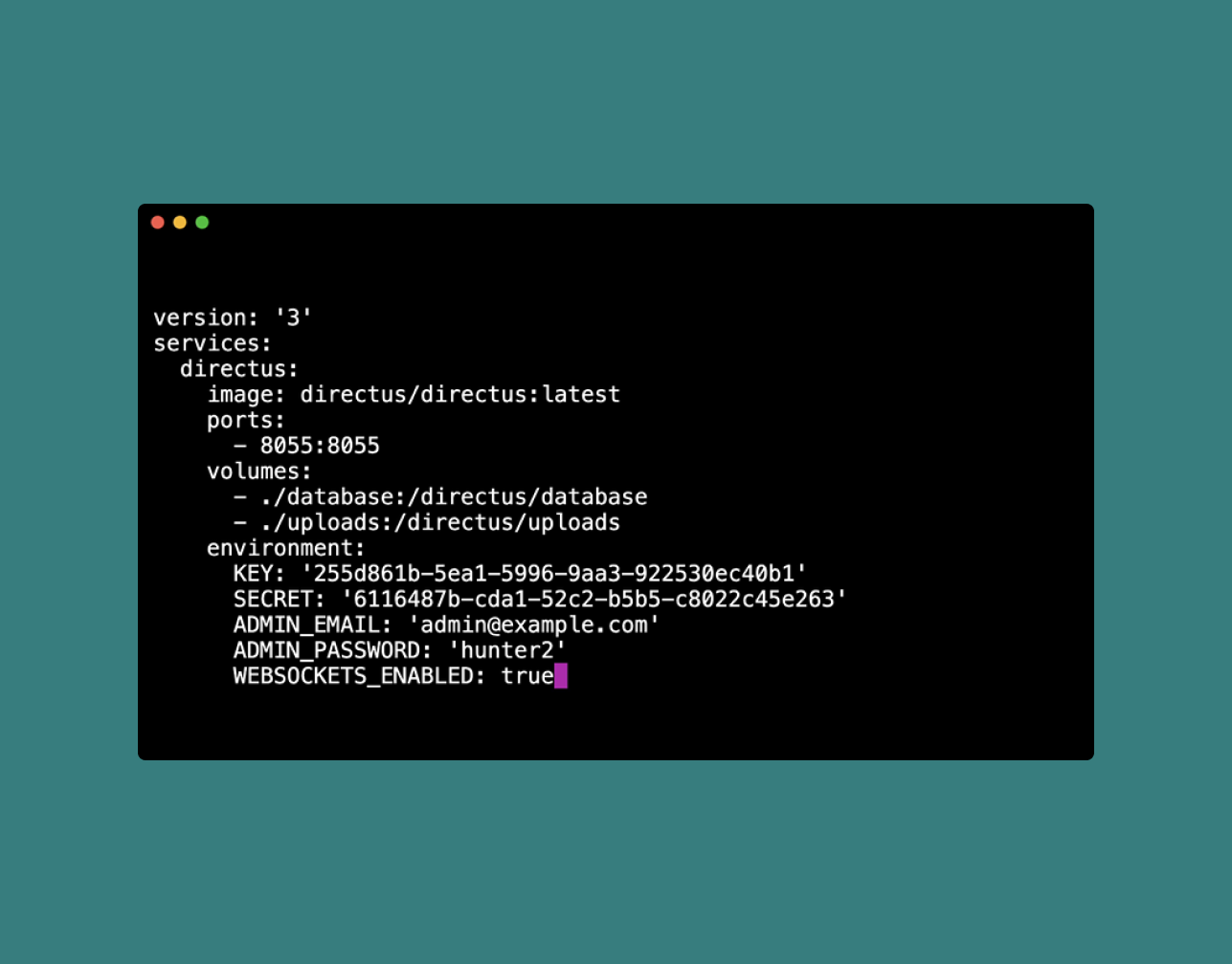 Config Options