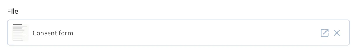 A file type form input where user can pick from three options: "Upload File From Device", "Choose Files from Library", "Import File from URL"